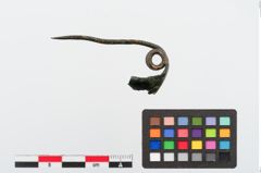 Foto von Bronzekahnfibel (NHMW-PRAE-024315)